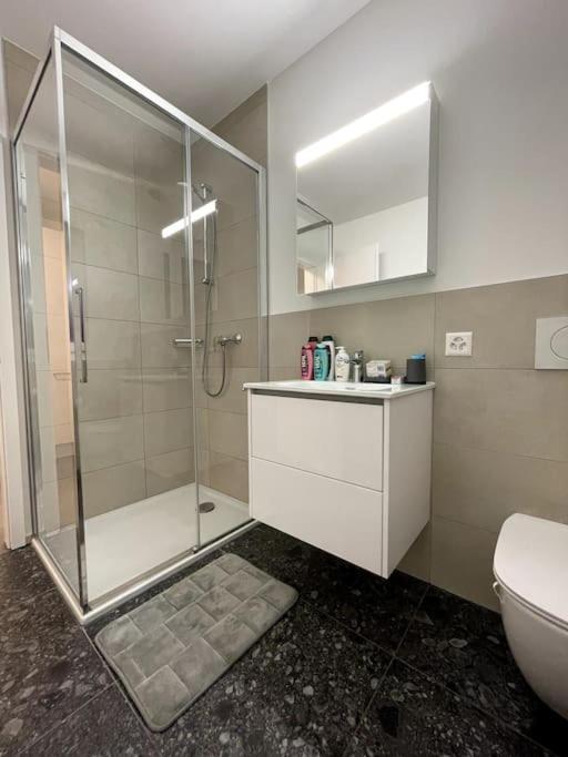 Five Stars Comfort Apartment Lugano Near The Lake Εξωτερικό φωτογραφία