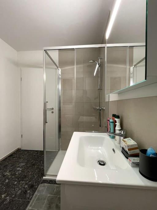 Five Stars Comfort Apartment Lugano Near The Lake Εξωτερικό φωτογραφία