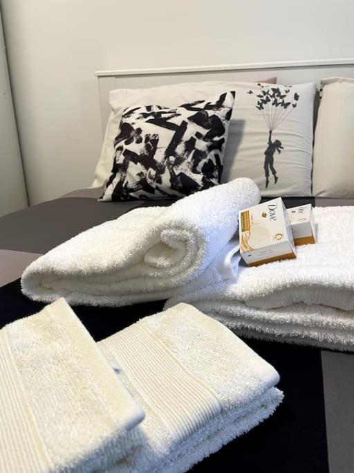 Five Stars Comfort Apartment Lugano Near The Lake Εξωτερικό φωτογραφία
