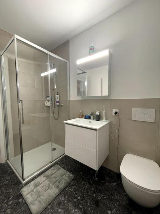 Five Stars Comfort Apartment Lugano Near The Lake Εξωτερικό φωτογραφία